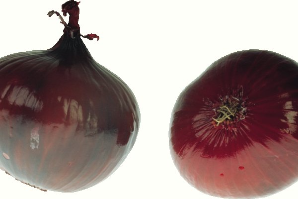 Как зайти на кракен с телефона