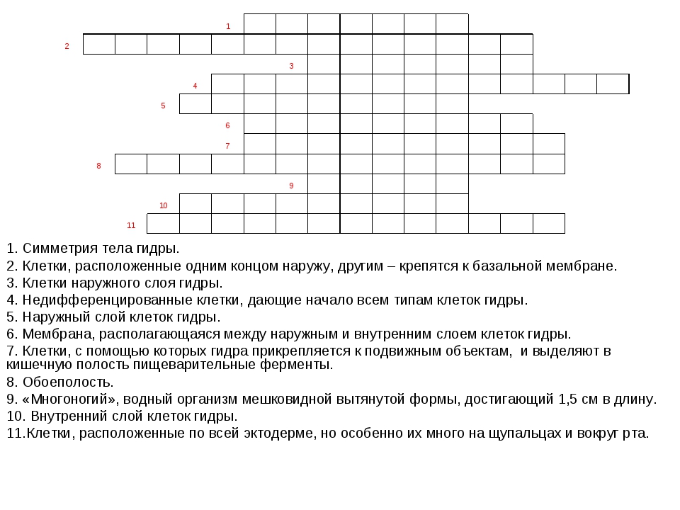 Доступ к сайту кракен